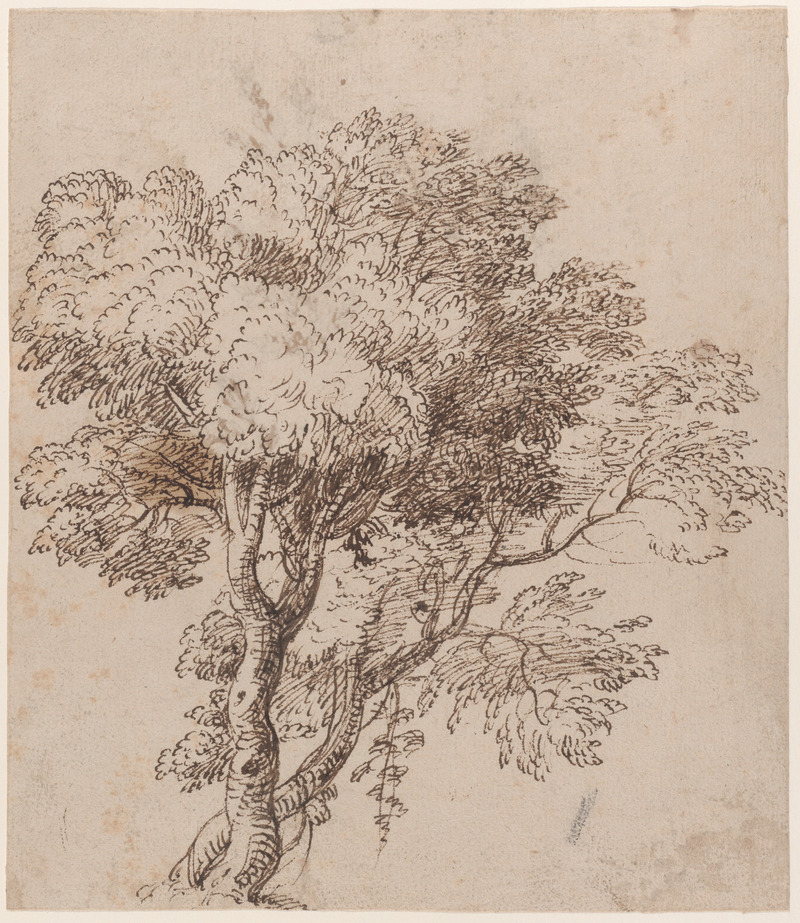 Study of a Group of Trees
Circle of Nicolas Poussin French
Former Attribution manner of Claude Lorrain (Claude Gellée) French
ca. 1625–50