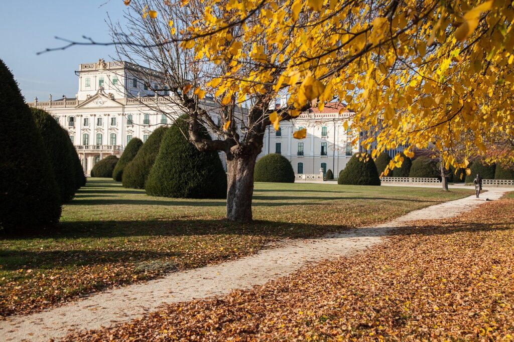 Rococo Reveries 2 - Grand Boudoir autumn, castle, building, baroque, park, architecture, rococo, foliage, road, afternoon, landscape, nature