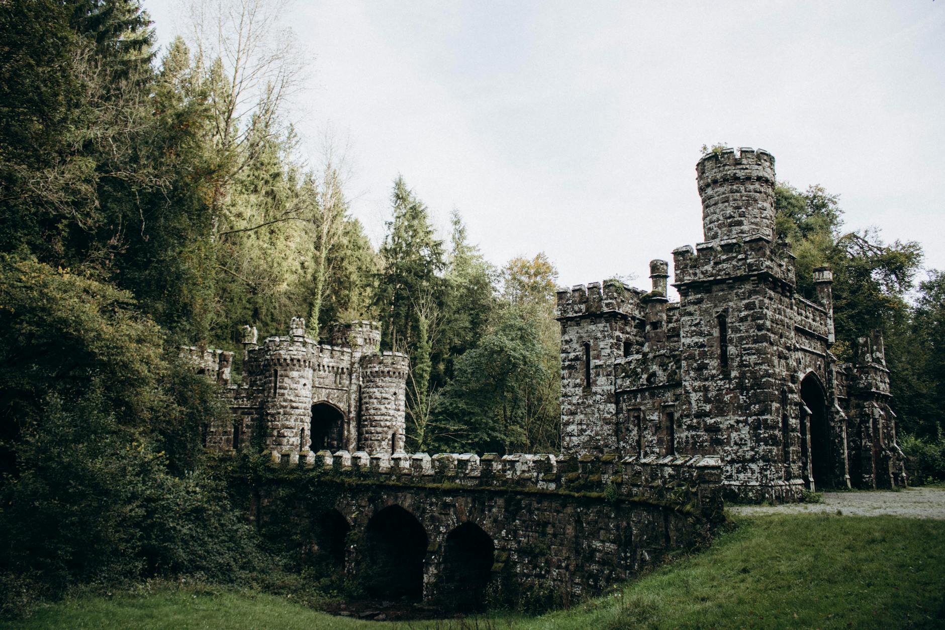 Within Stone and Shadow The Enduring Spell of Castle Interiors - Grand Boudoir Explore the enchanting gothic architecture of Ballysaggartmore Castle surrounded by nature.