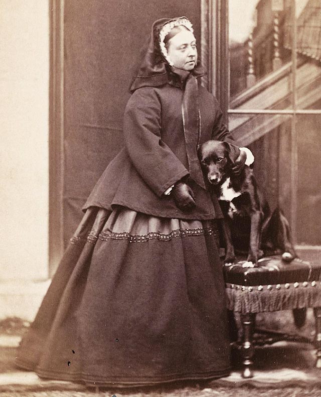 Queen Victoria and her dog Sharp - Grand Boudoir For a Victorian-era society lady, owning a miniature dog was just as essential as carrying a handbag to the opera or having a calling card.