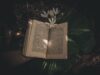 10 Dark Victorian Novels So Addictive You’ll Forget They’re Classics 10 Dark Victorian Novels So Addictive You’ll Forget They’re Classics