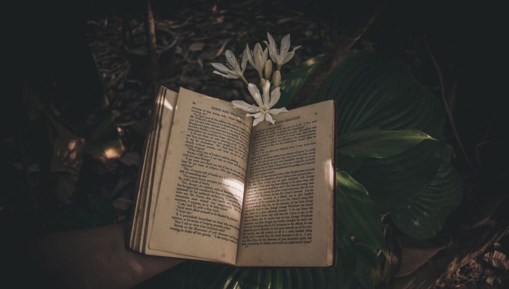 10 Dark Victorian Novels So Addictive You’ll Forget They’re Classics 10 Dark Victorian Novels So Addictive You’ll Forget They’re Classics