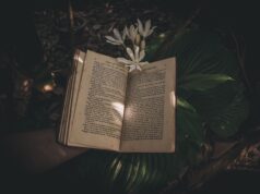 10 Dark Victorian Novels So Addictive You’ll Forget They’re Classics 10 Dark Victorian Novels So Addictive You’ll Forget They’re Classics