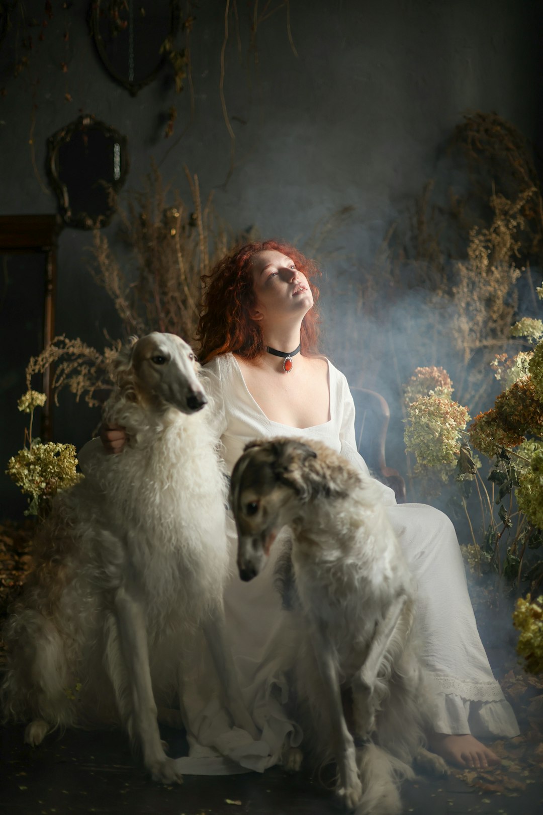photo 1729874585558 9c5720e7e304 - Grand Boudoir Victorian Dogs: Popular Breeds, Dog Shows, and Life in the 19th Century