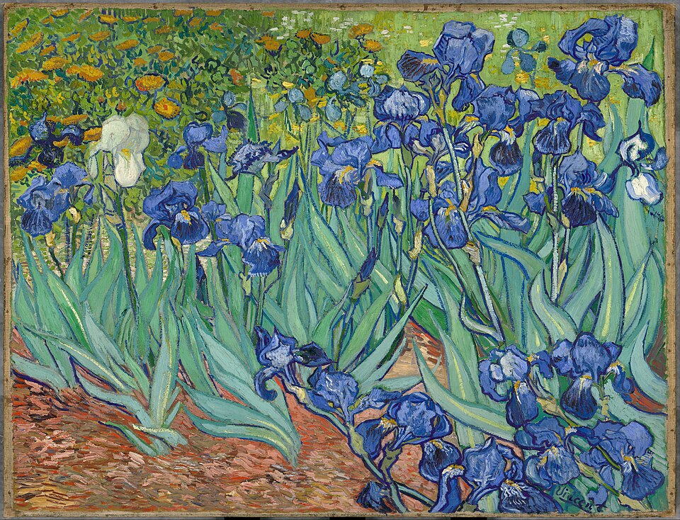Irises Vincent van Gogh - Grand Boudoir Irises-Vincent van Gogh